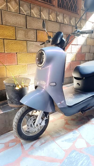 Hi speed Tail  G rmi 300