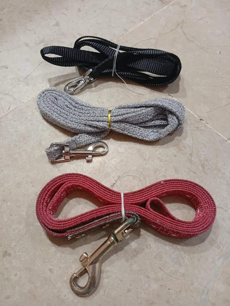 Dogs puppies cats collers harness & Leaches — photo 3