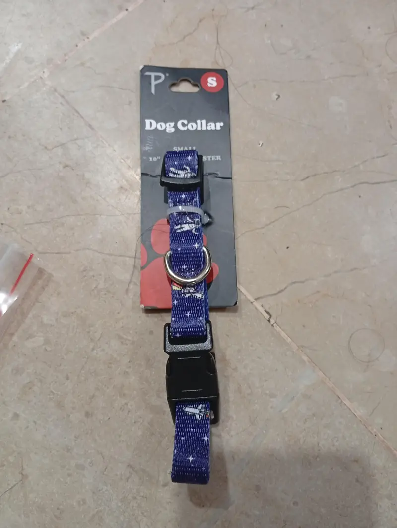 Dogs puppies cats collers harness & Leaches — photo 4