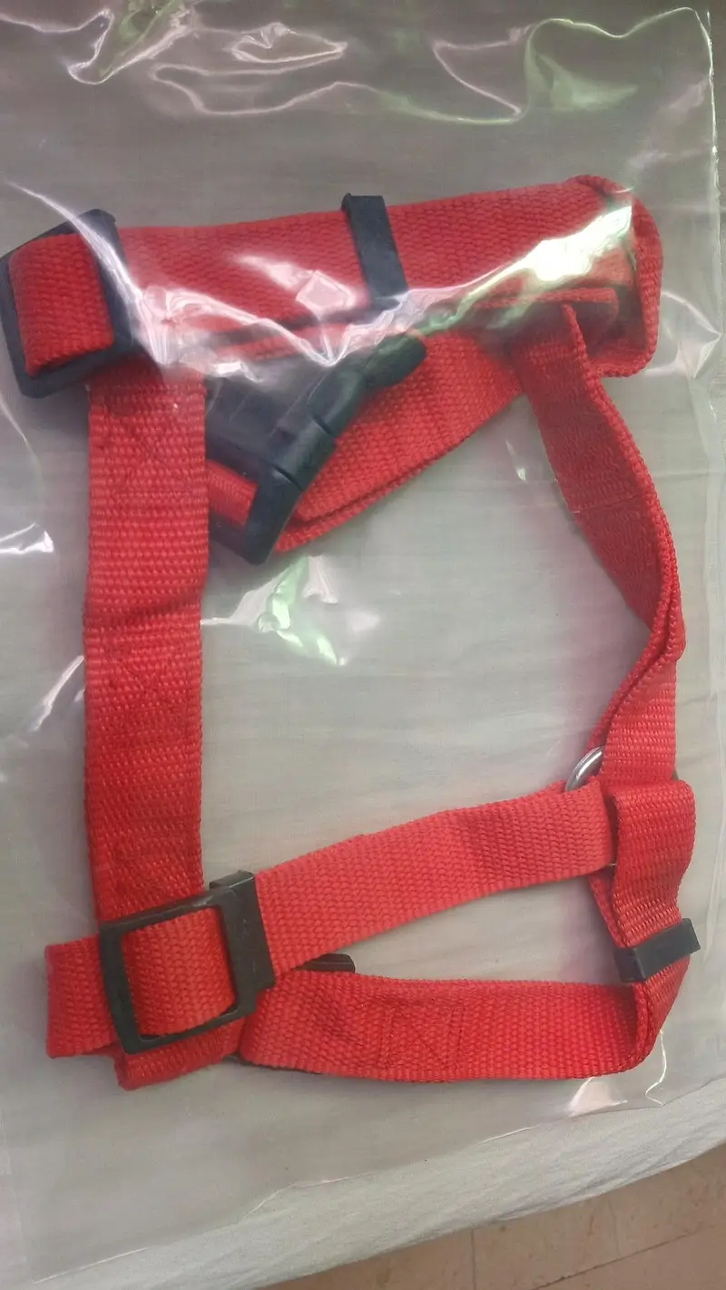 Dogs puppies cats collers harness & Leaches — photo 6