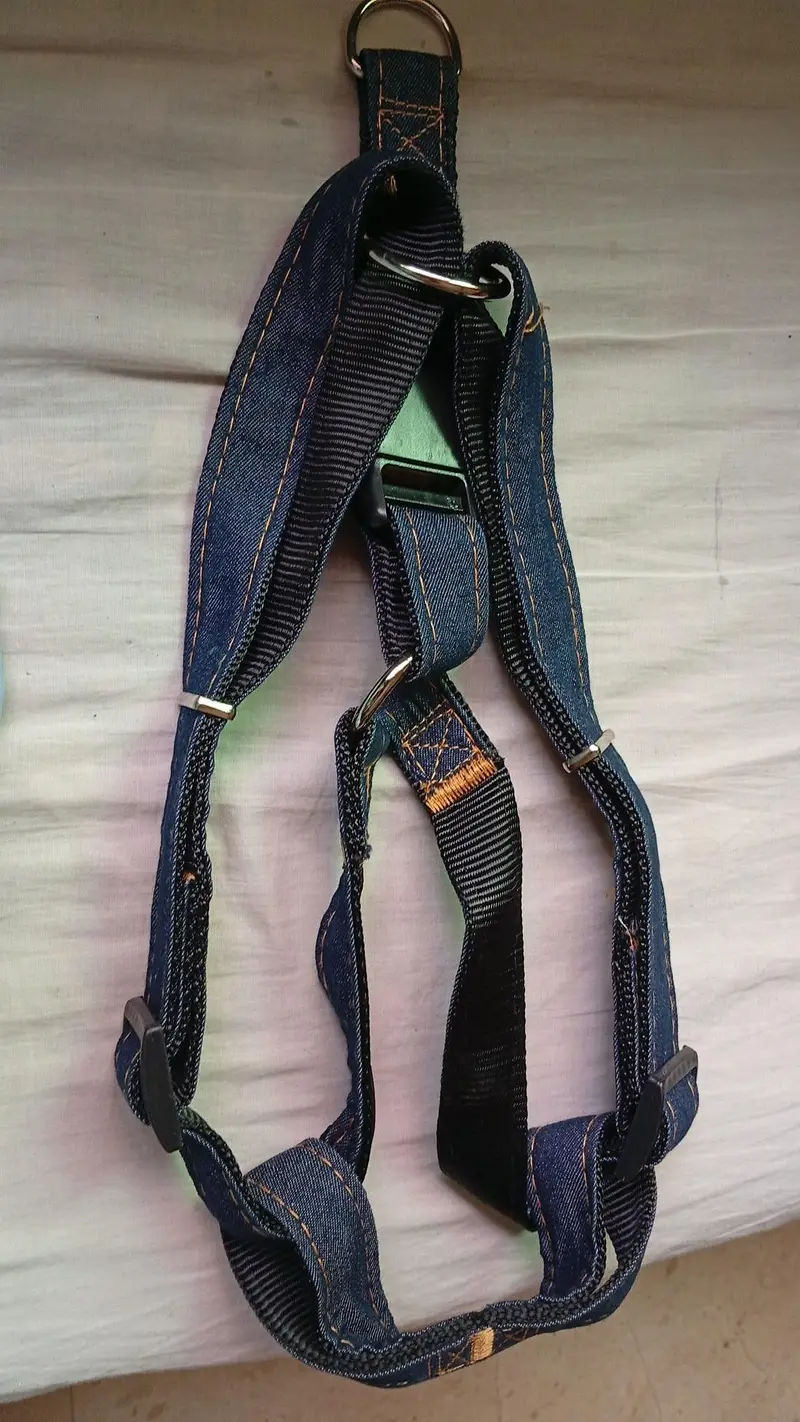 Dogs puppies cats collers harness & Leaches — photo 7