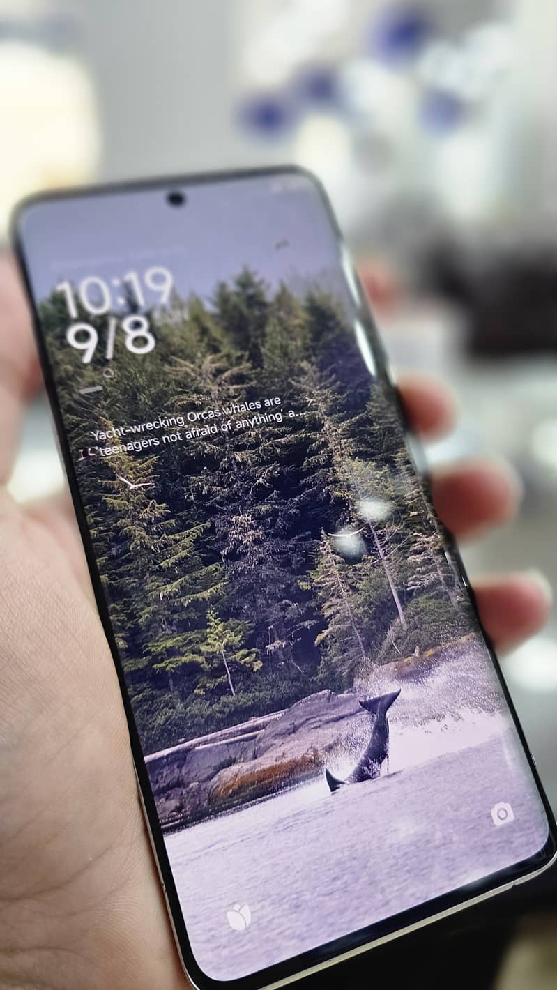 Redmi Note 13 Pro + 3