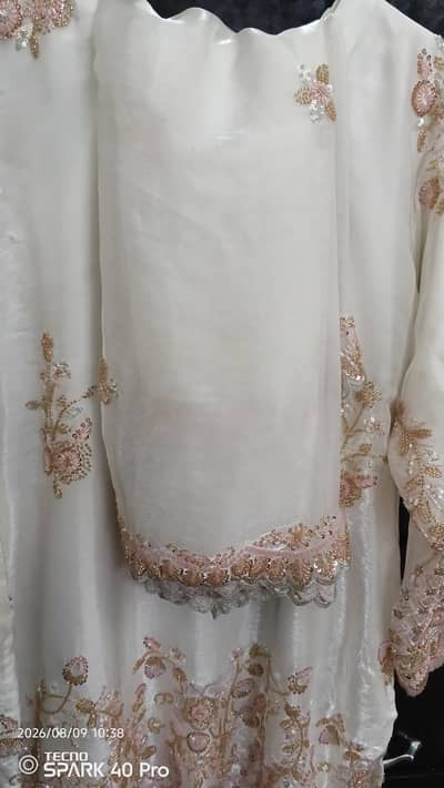 fanci dress