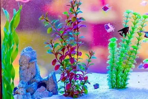 Fish food & aquarium accessory 03268301979 — photo 5