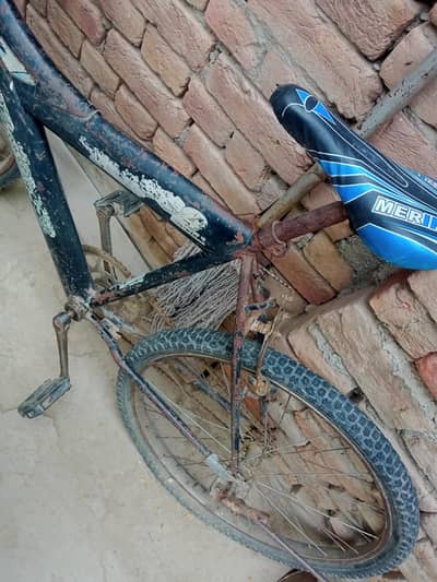 full size bicycle