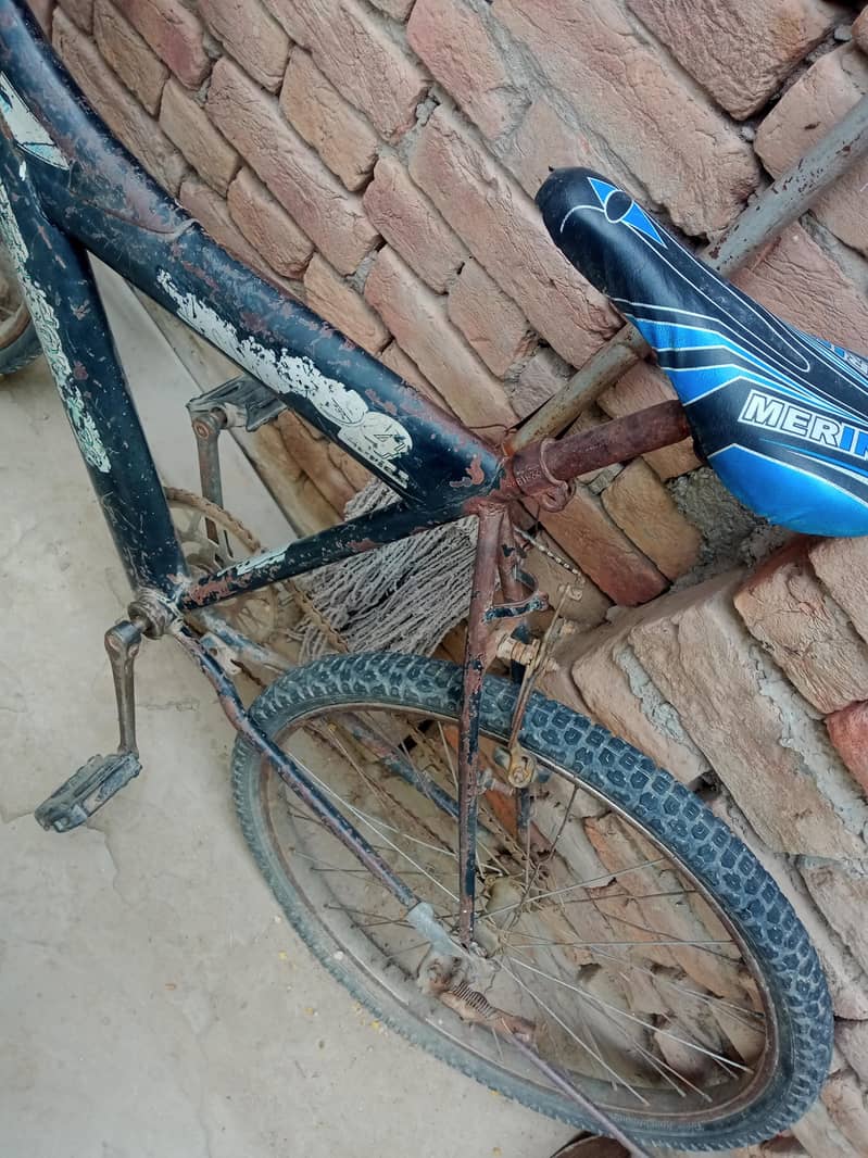 full size bicycle 0