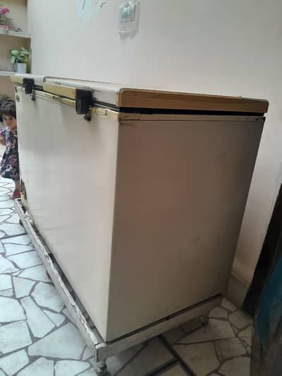 Deep Freezer- Urgent Sale