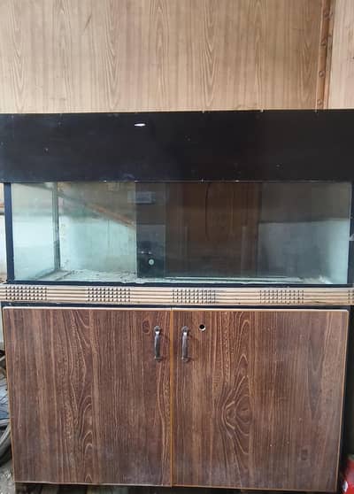 Fish Aquarium