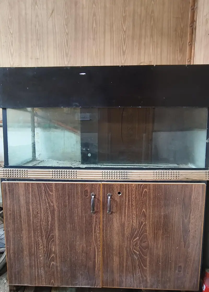 Fish Aquarium