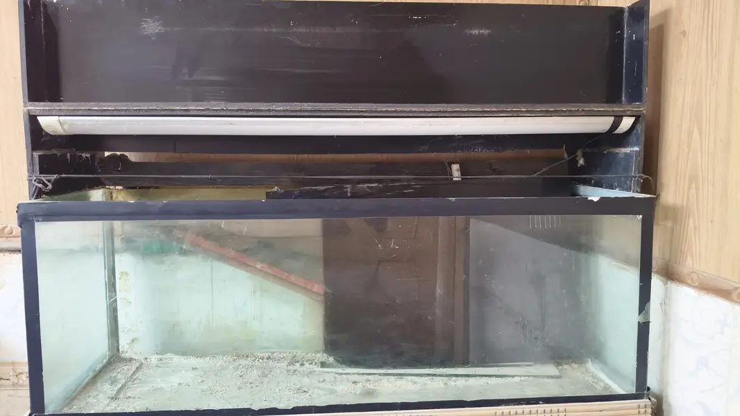 Fish Aquarium — photo 2