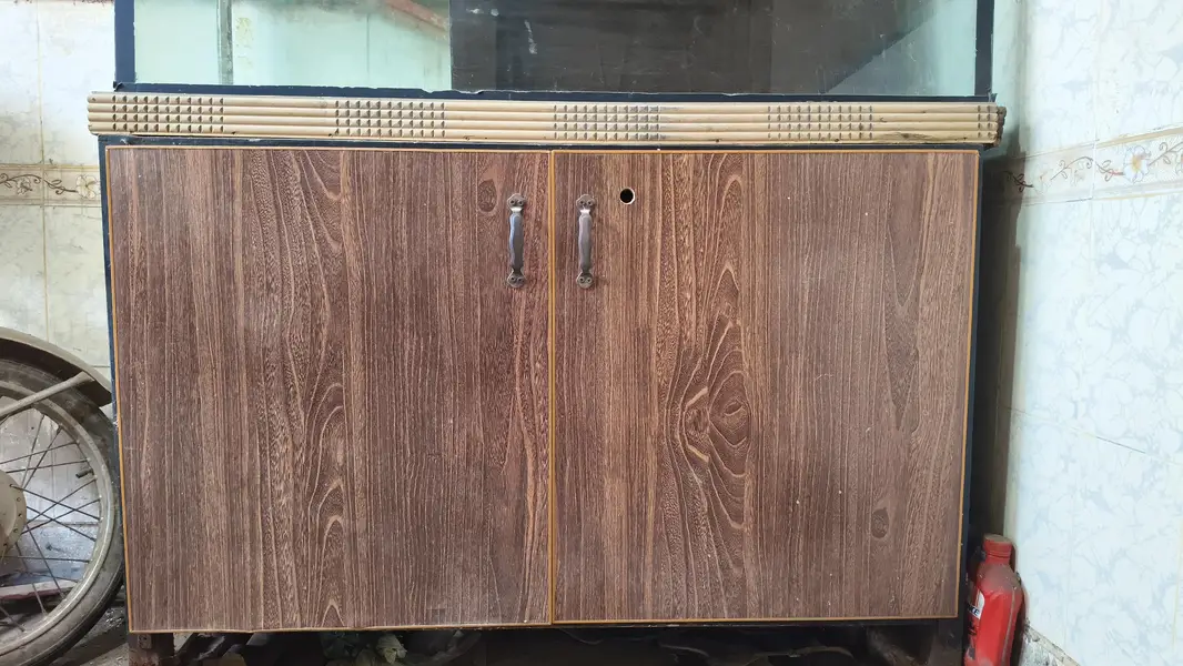 Fish Aquarium — photo 3
