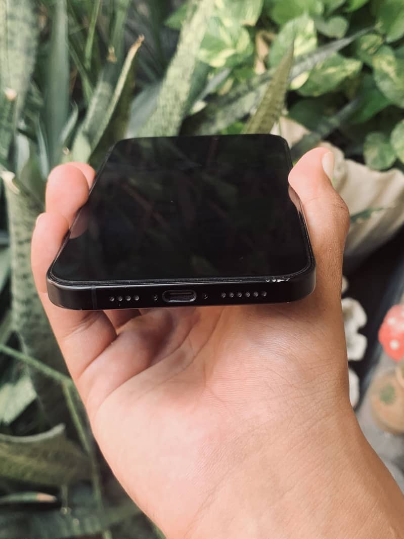 Apple iPhone 16 Plus 1