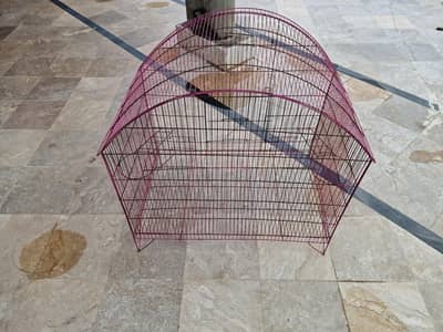 cage tray miss h
