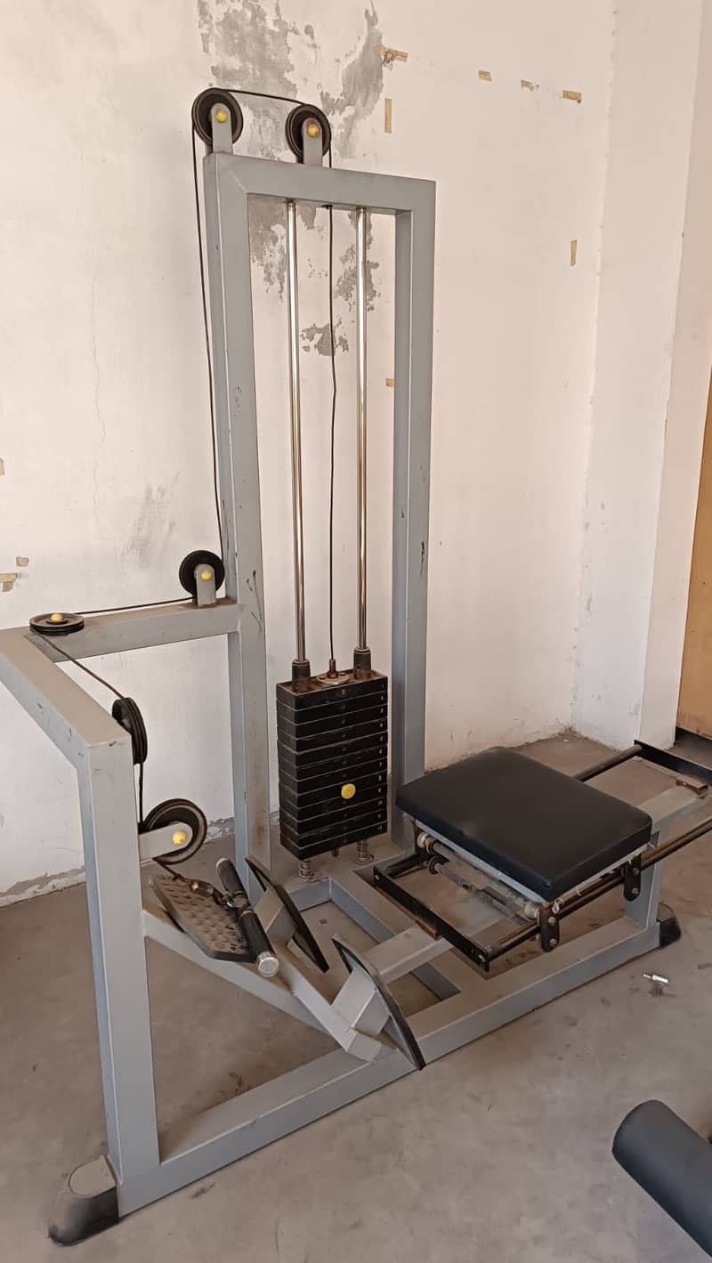Seated cable row 0