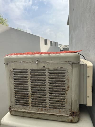 Saudi coolers