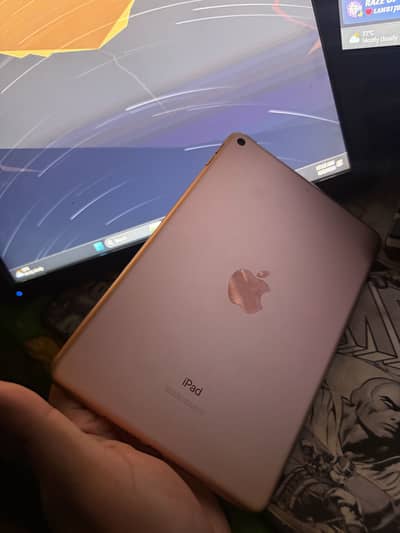 Apple Ipad Mini 5