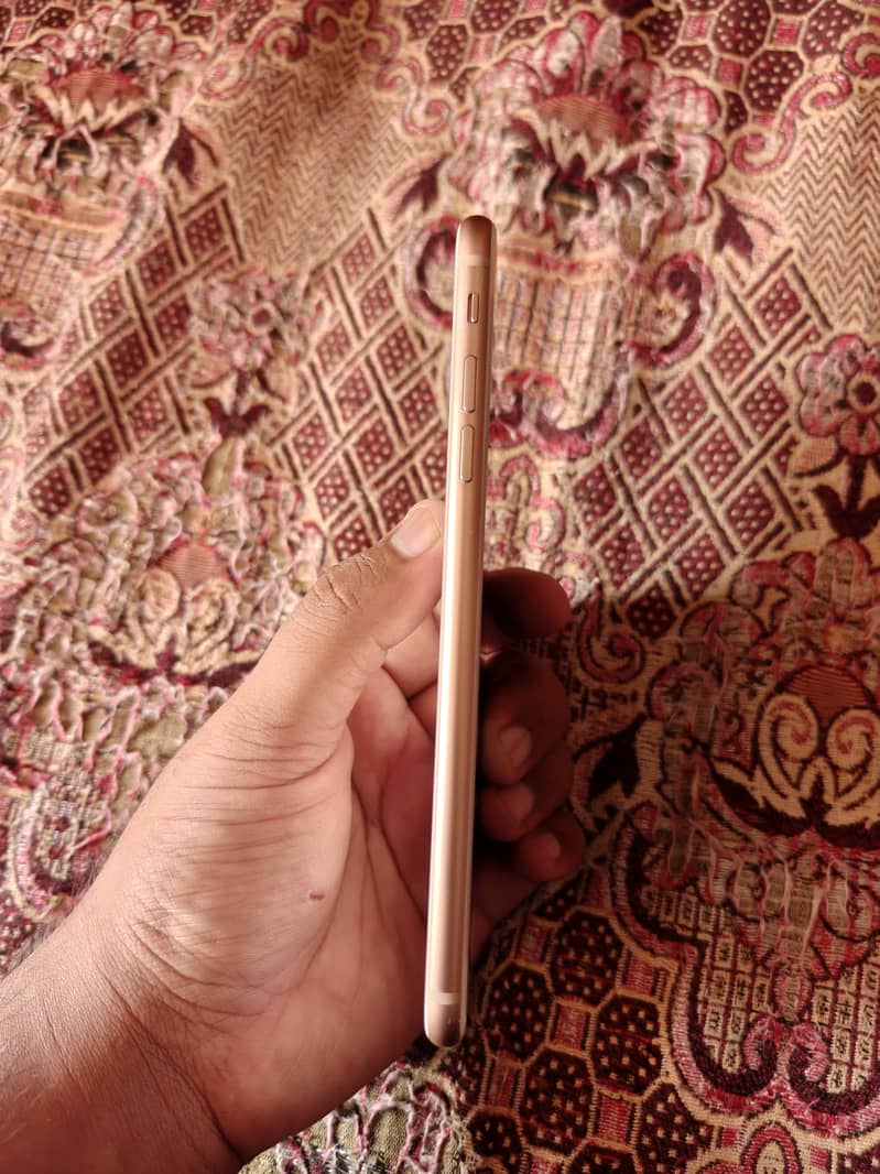 iPhone 8 Plus 4
