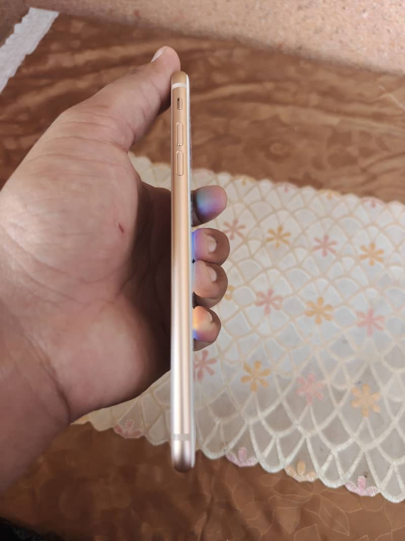 iPhone 8 Plus 5