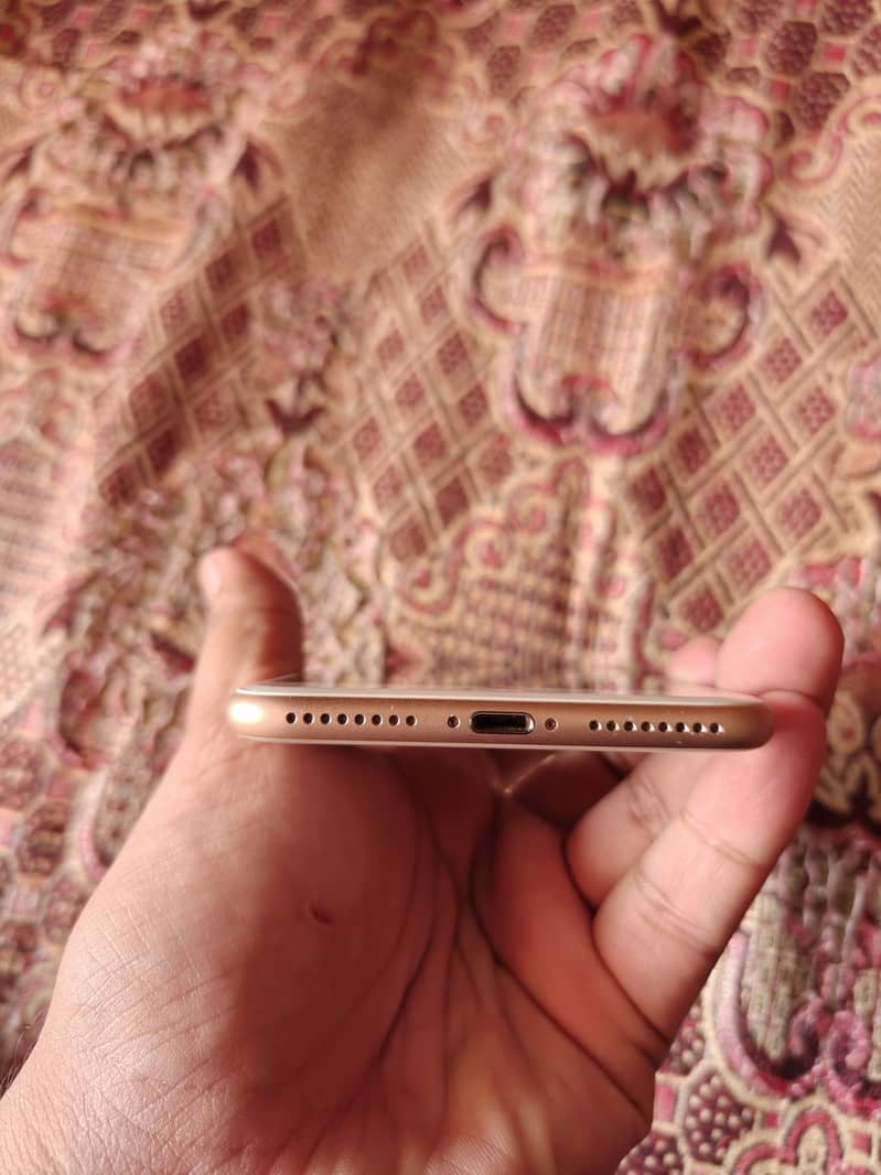 iPhone 8 Plus 6
