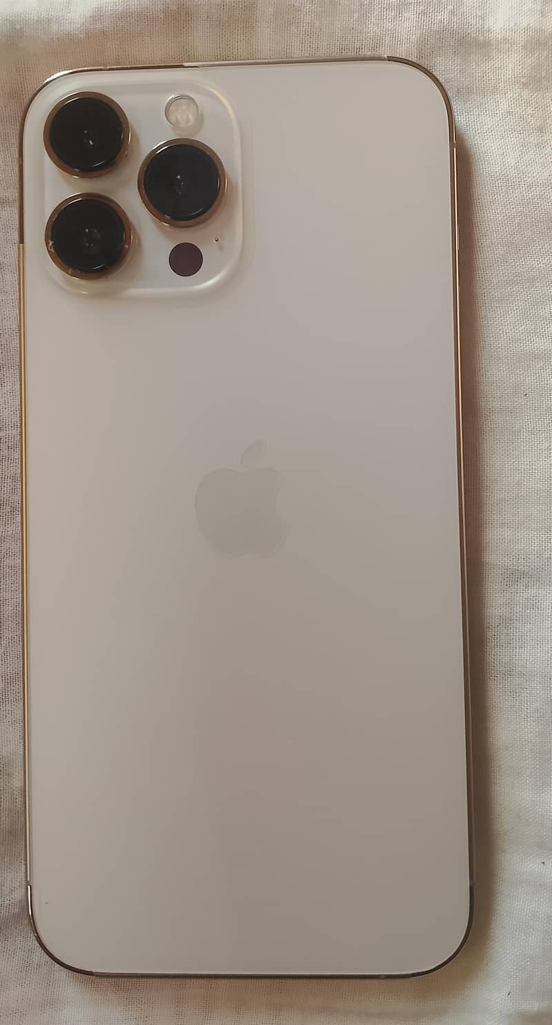 Apple iPhone 13 Pro Max 0