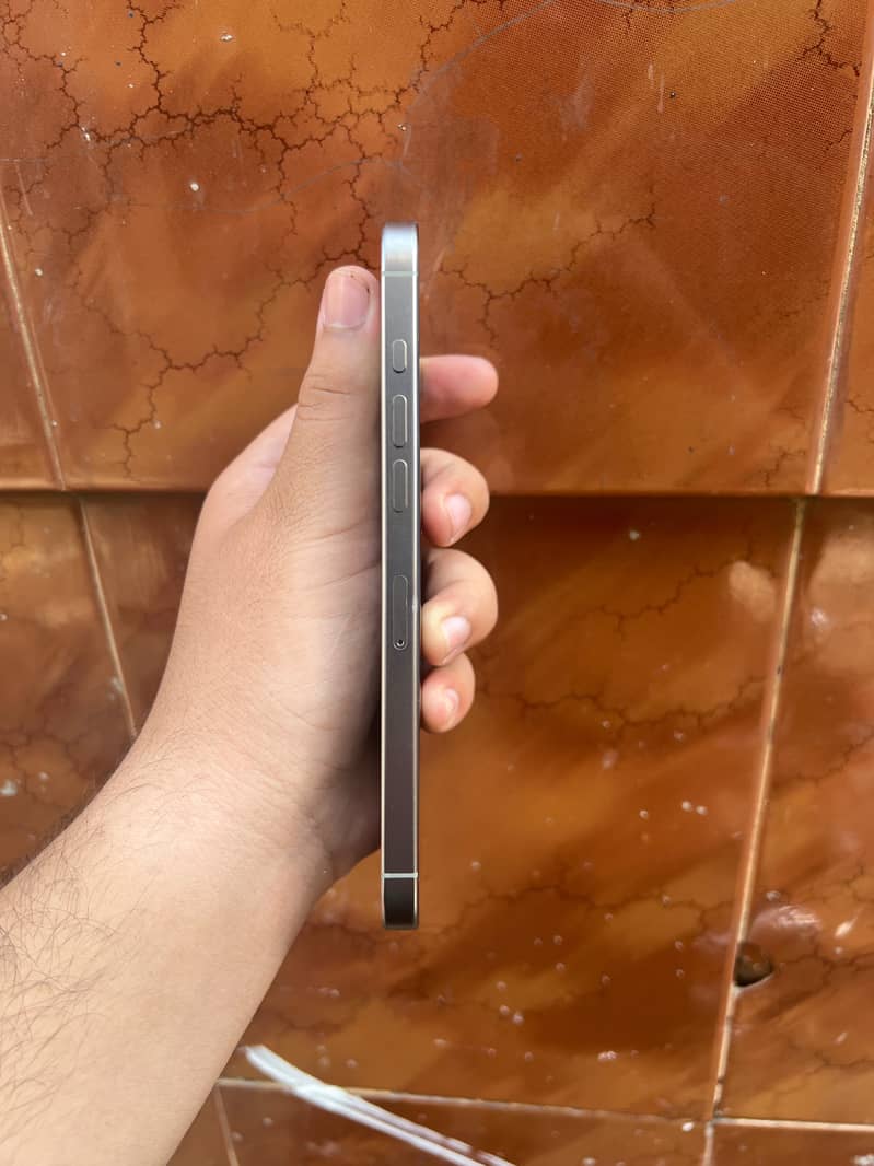 Apple iPhone 16 Pro Max 2