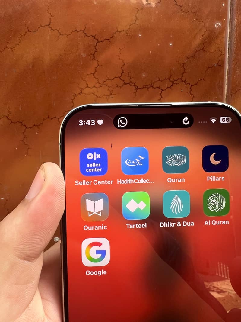 Apple iPhone 16 Pro Max 4