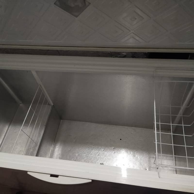 waves D freezer 1