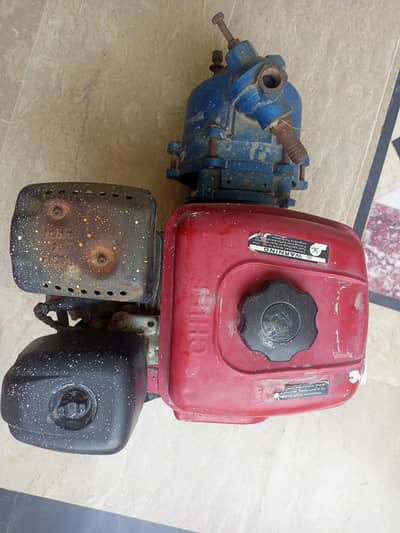 Peter Pump/Water Pump