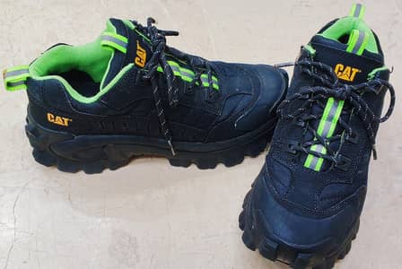 Caterpillar/Cat/Intruder shoes