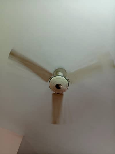 Pak Fan