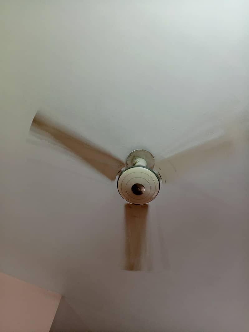 Ceiling fans 1