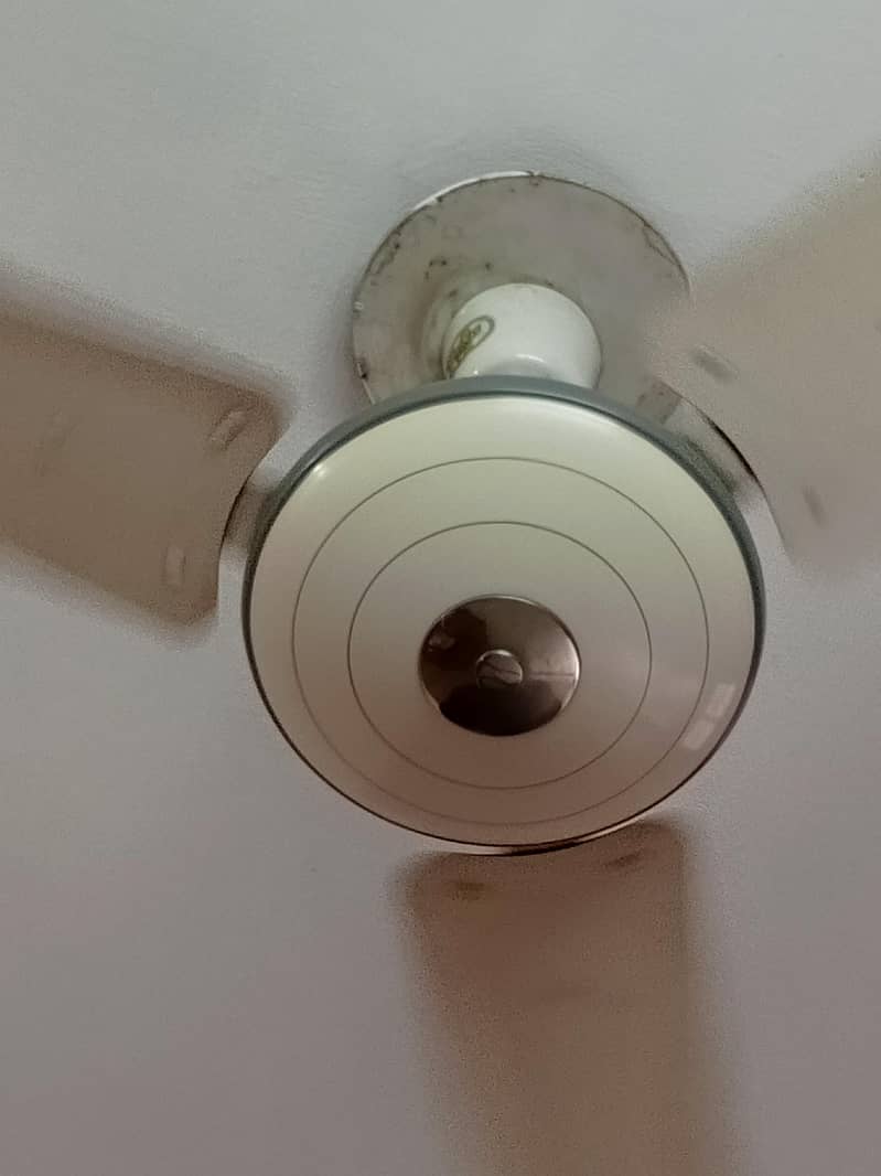 Ceiling fans 2