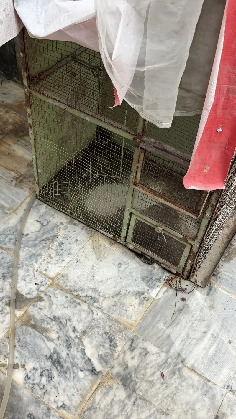 Customized cage ideal for bird
