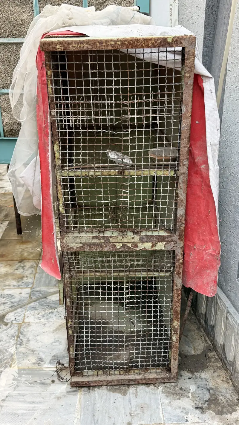 Customized cage ideal for bird — photo 2