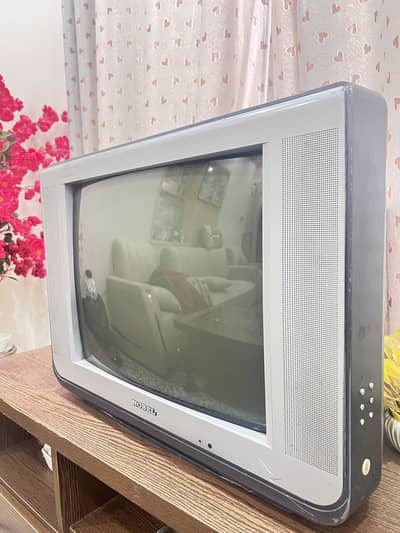Nobel Tv size 28 inches for sale