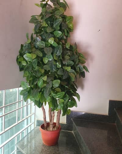 Artificial  Plant