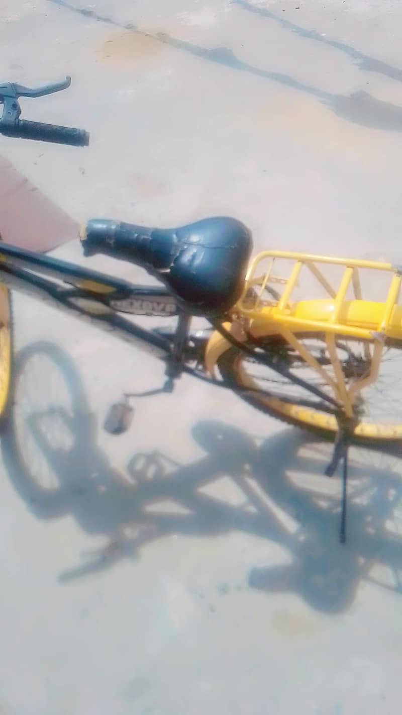 cycle 1