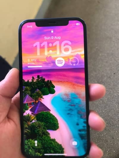 Apple iPhone 12 PTA approved
