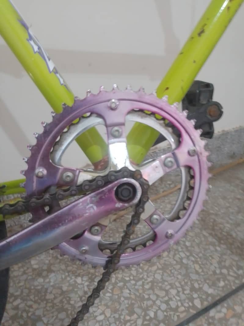Phoenix cycle 2