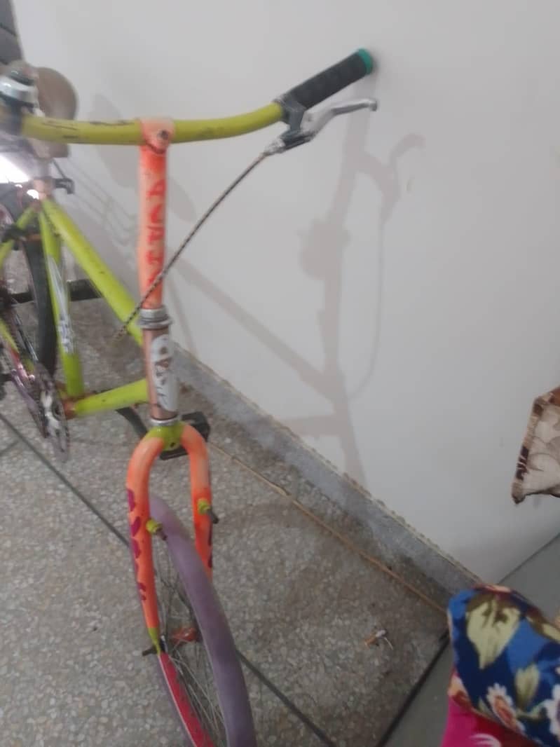 Phoenix cycle 3