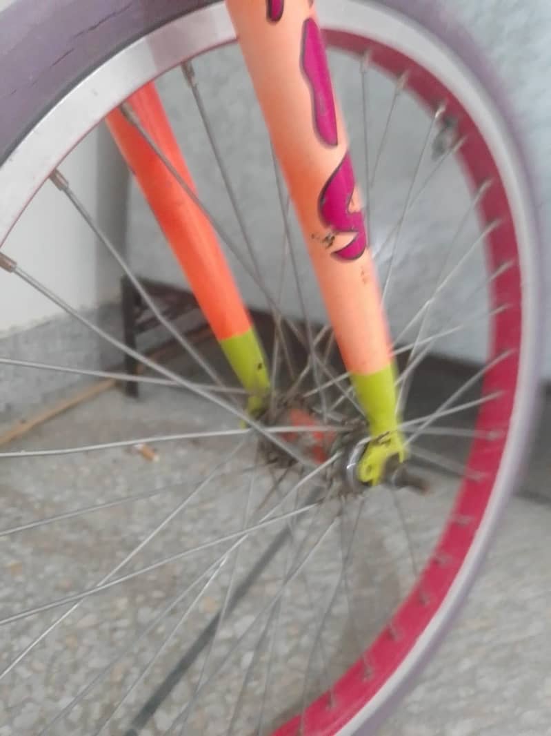 Phoenix cycle 4
