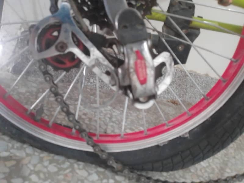 Phoenix cycle 5