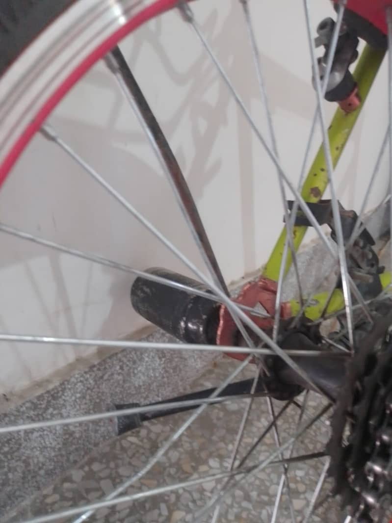 Phoenix cycle 6