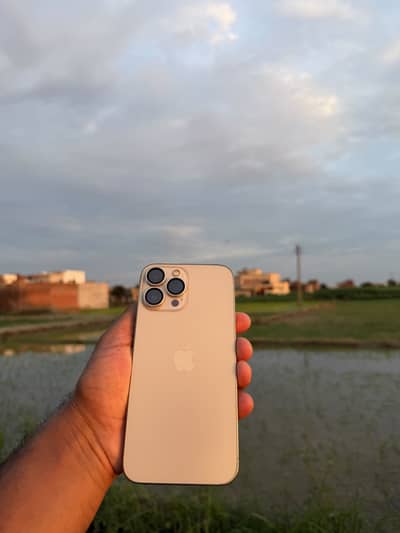 Apple iPhone 13 Pro Max