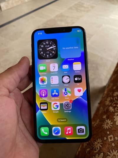 Apple iPhone X