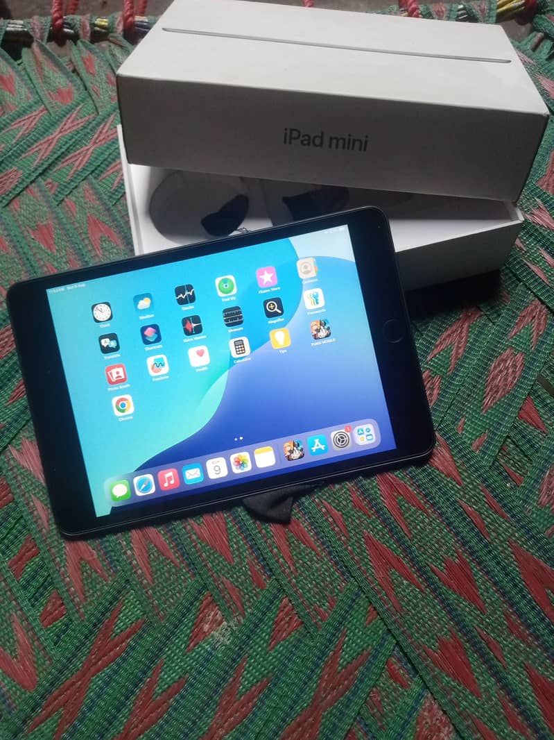 ipad mini 5 1