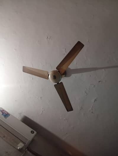 pak fan