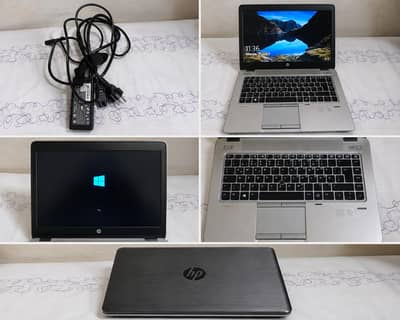 hP model