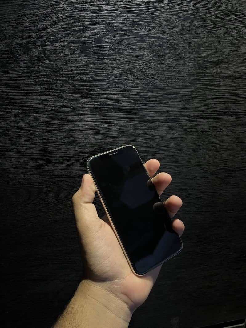 Apple iPhone X 1