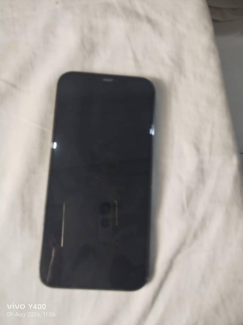 Apple iPhone 12 Pro Max 1